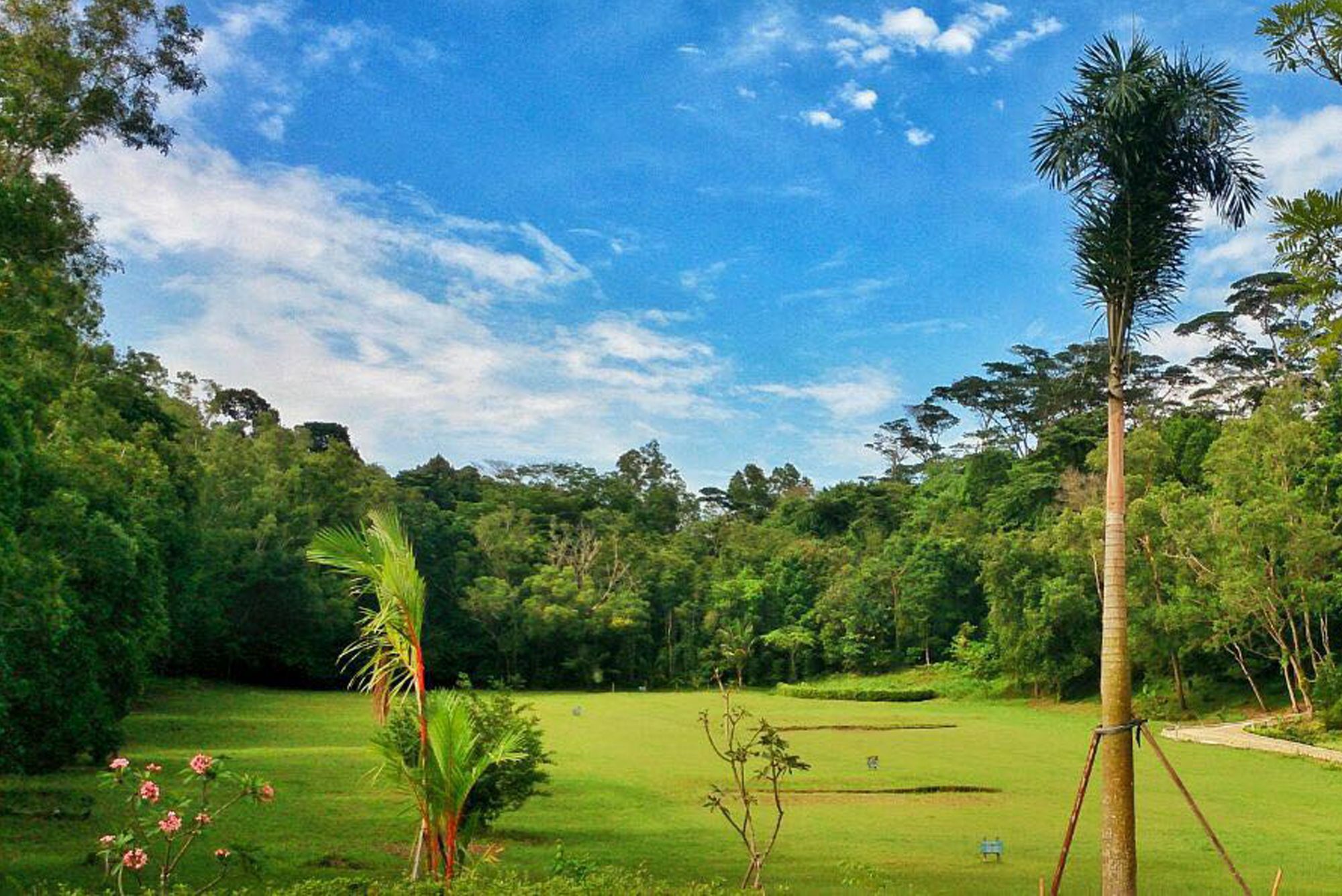 Sijori Resort Batam Exteriér fotografie